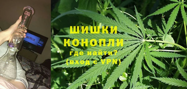 винт Липки