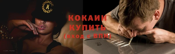 винт Липки